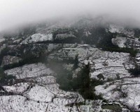 lạnh