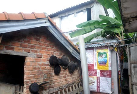 xa hoi