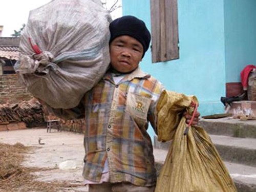 Mô tả ảnh.