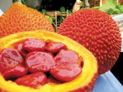 quả hấc
