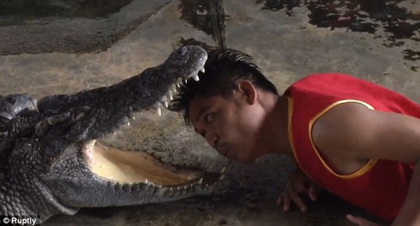 Mô tả ảnh.