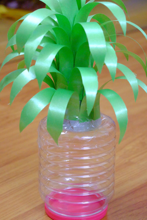 dứa