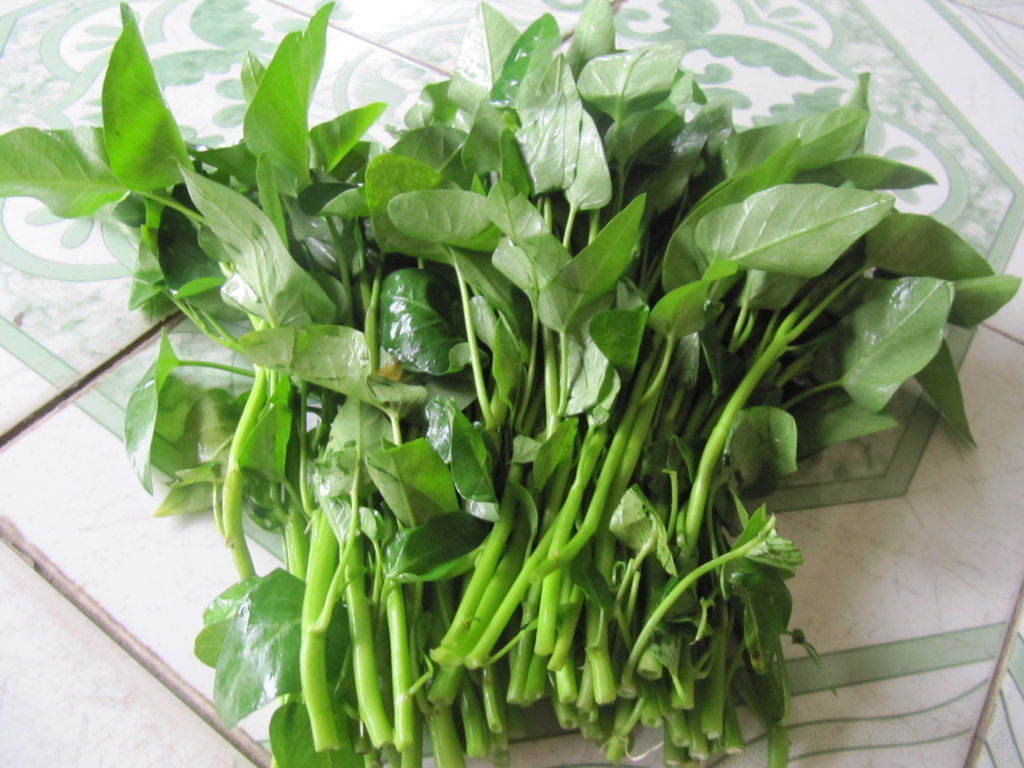 giảm béo bụng 