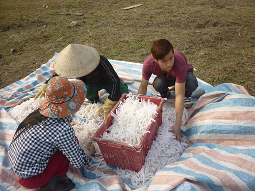 Mô tả ảnh.