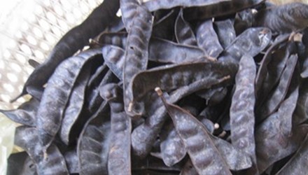 bố kết làm đẹp 