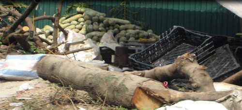 Mô tả ảnh.