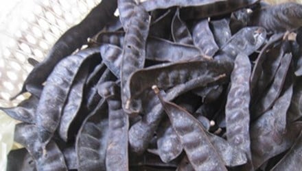 bồ kết làm đẹo 