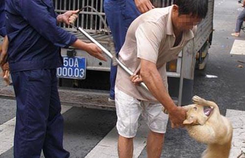 Mô tả ảnh.