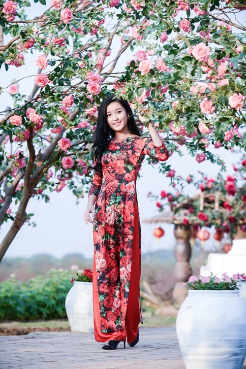 sao việt diện áo dài