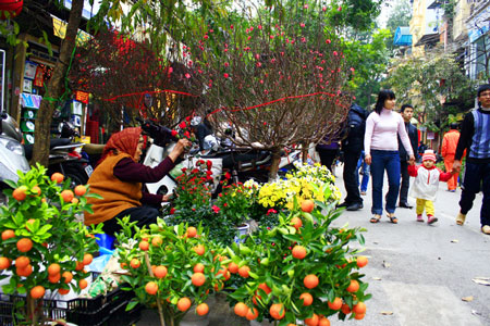 Mô tả ảnh.