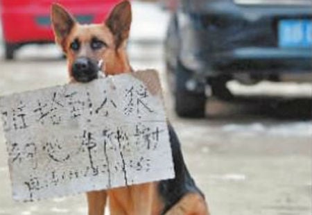 Mô tả ảnh.
