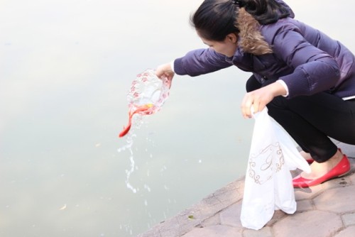Mô tả ảnh.