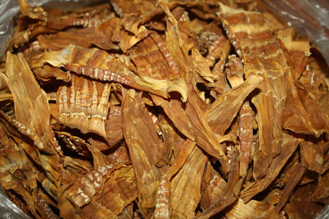 bảo quan măng khô nấm hương