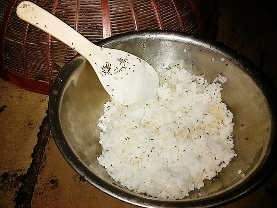 Mô tả ảnh.