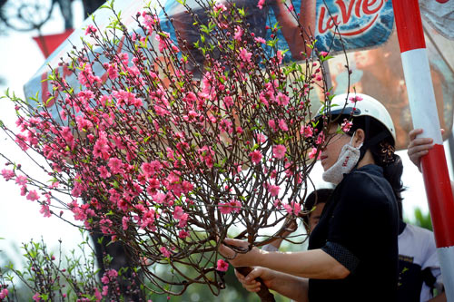 trị mụn trứng cá 