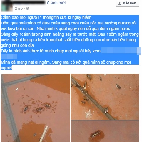 Mô tả ảnh.