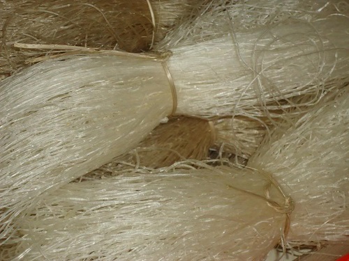 miến