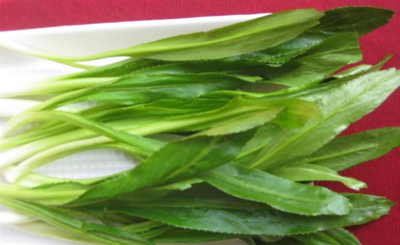 rau mùi tau