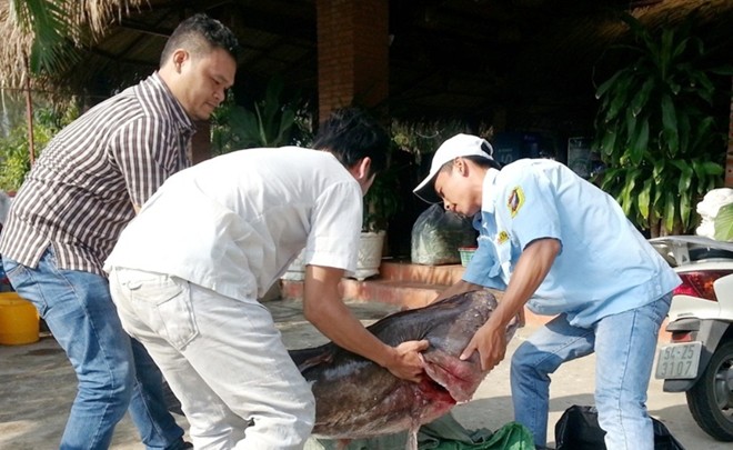 Mô tả ảnh.