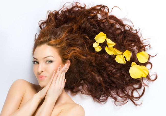 Trị sỏi thận hiệu quả nhờ cây dâm bụt