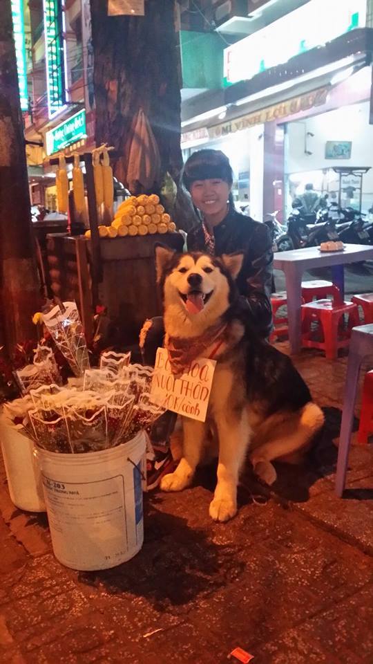 Mô tả ảnh.