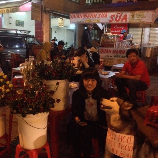 Mô tả ảnh.
