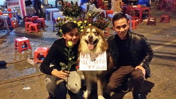 Mô tả ảnh.
