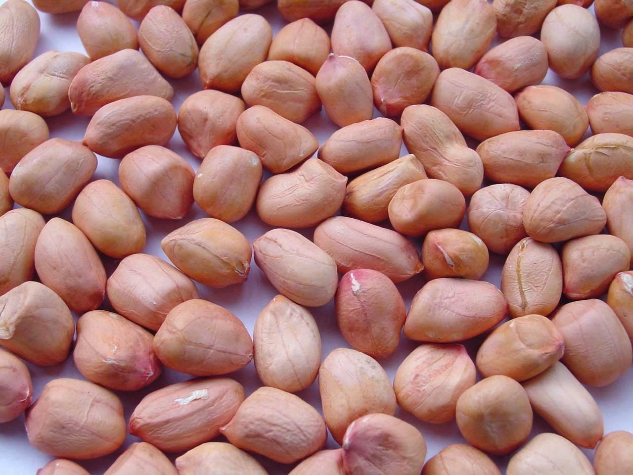 lạc