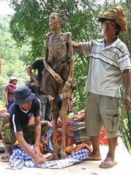 Mô tả ảnh.