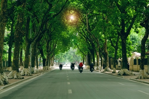 Mô tả ảnh.