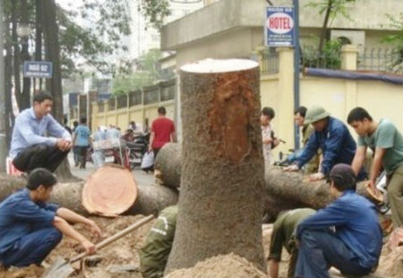 Mô tả ảnh.