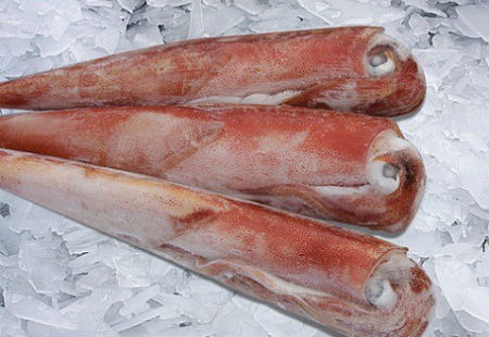 Mô tả ảnh.
