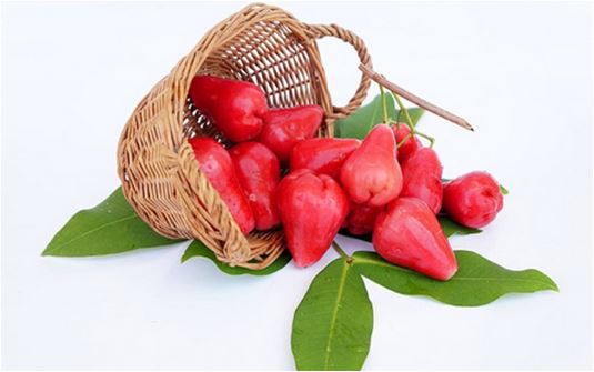 Mô tả ảnh.