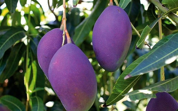 Mô tả ảnh.