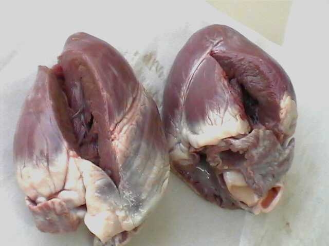 canh