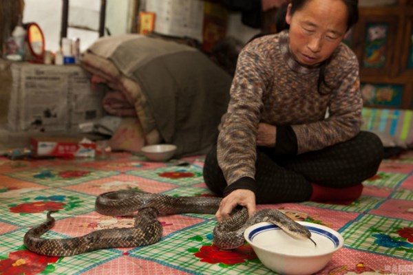 Mô tả ảnh.