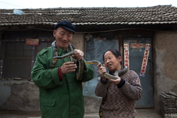 Mô tả ảnh.