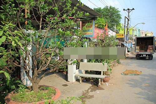 su that suc anh huong cua ngoc trinh o que nha 2