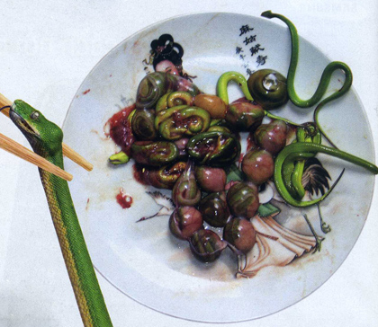 Mô tả ảnh.