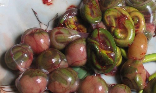 Mô tả ảnh.