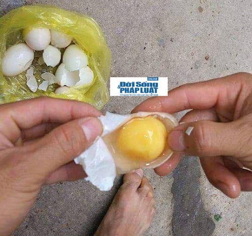 Mô tả ảnh.