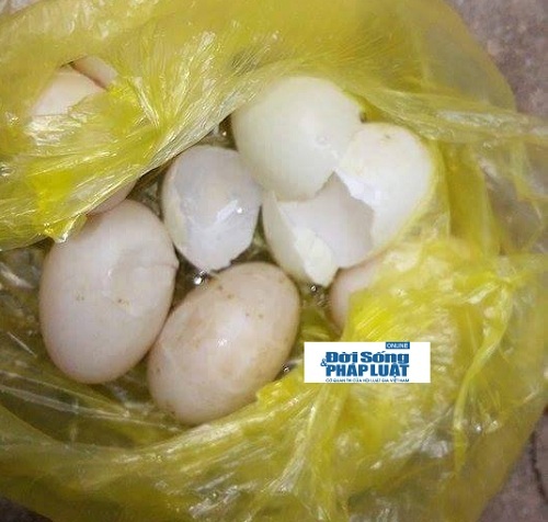 Mô tả ảnh.