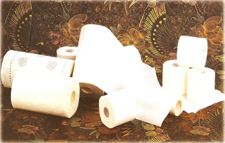 Hiểm họa từ thói quen dùng giấy vệ sinh