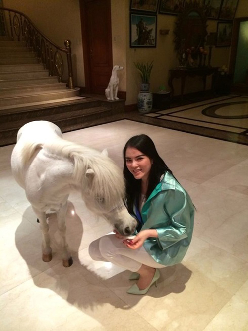 ly nha ky gian di tam cho cun cung 8