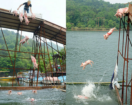 Mô tả ảnh.