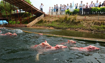 Mô tả ảnh.