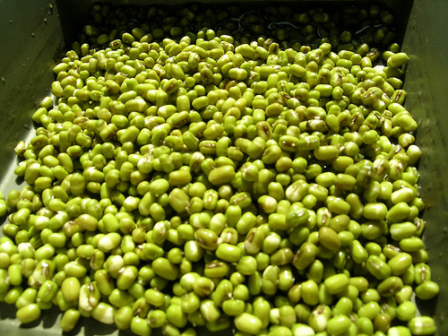 thực phẩm trị mụn 