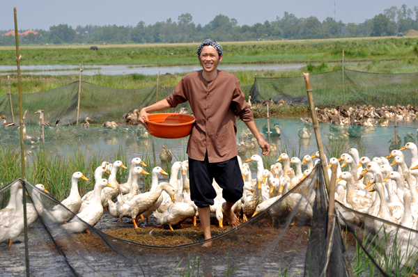 hoai linh