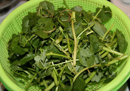 canh