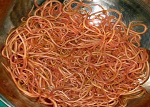 Mô tả ảnh.